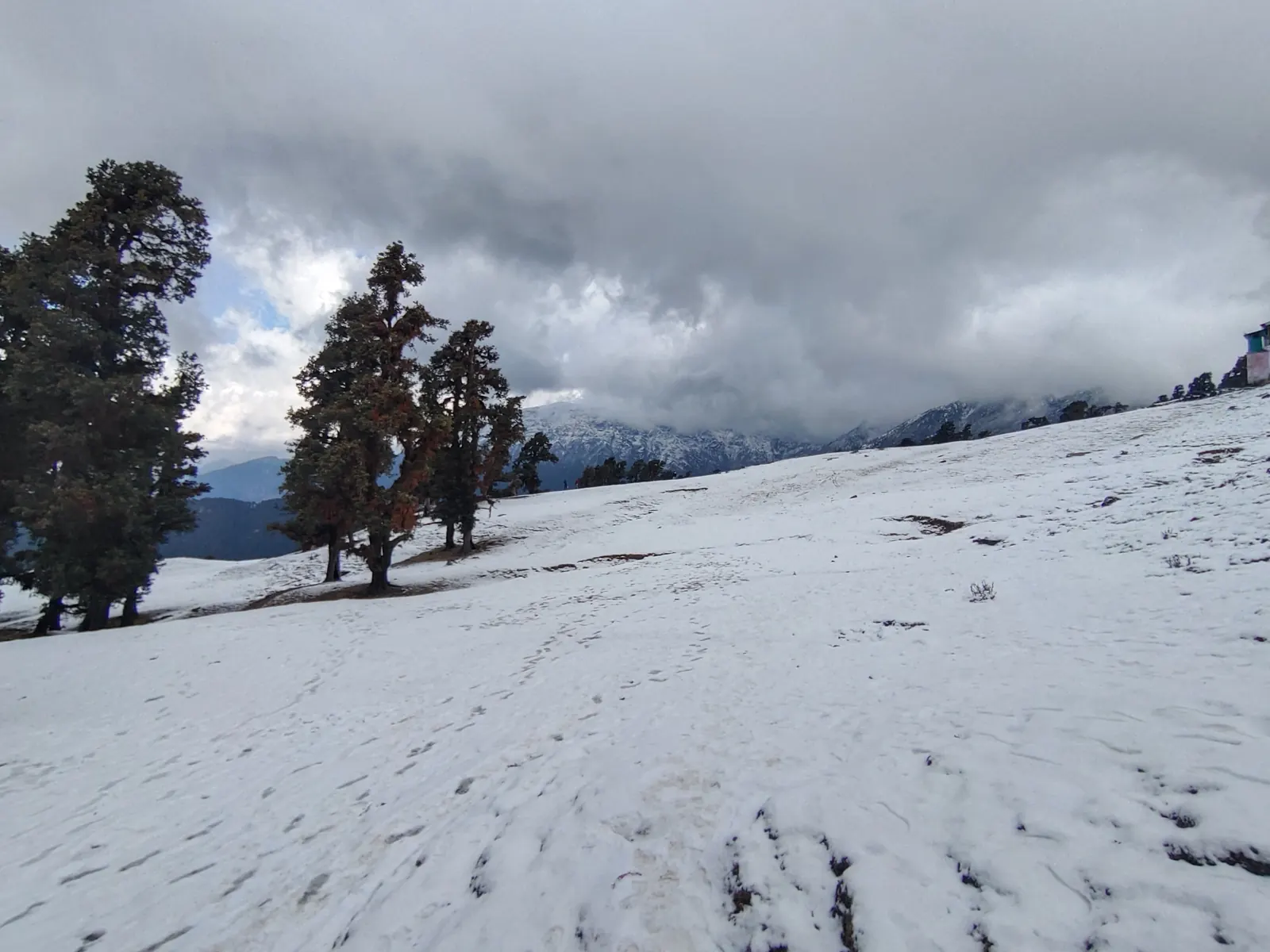 Snow-covered meadow with dark trees under heavy clouds near Chopta