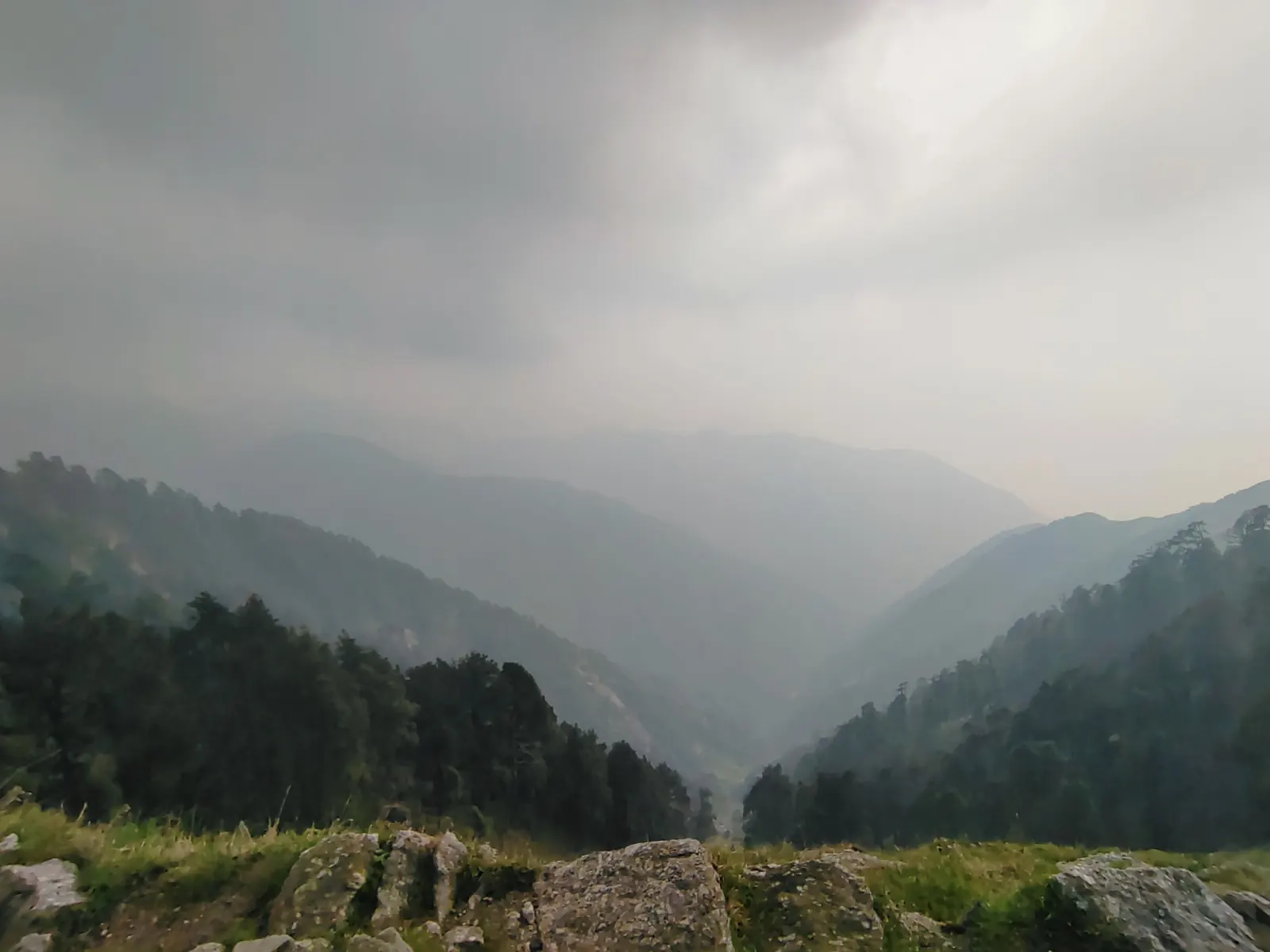 Misty forested valley seen from the grassy Triund ridge