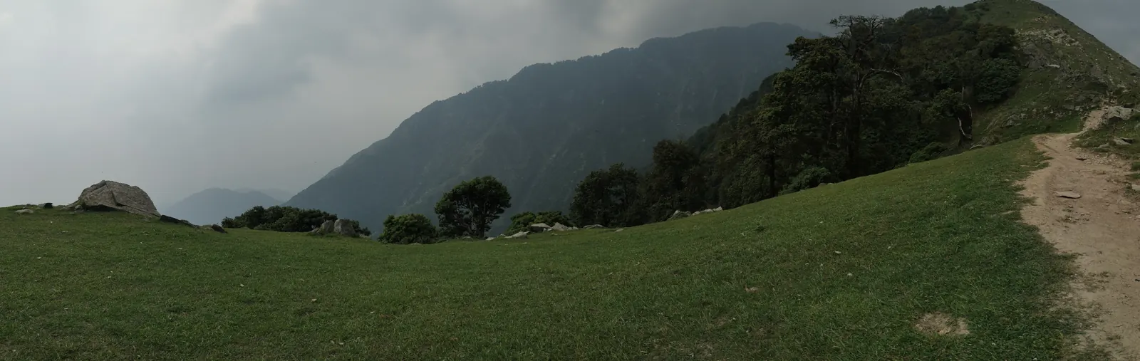 The grassy trail approaching Triund ridge